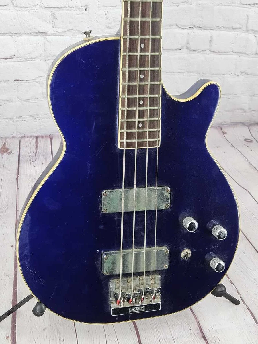 Washburn B200