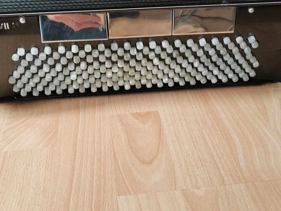 Hohner Morino VIN, 185 basova, kabina — fotografija 2